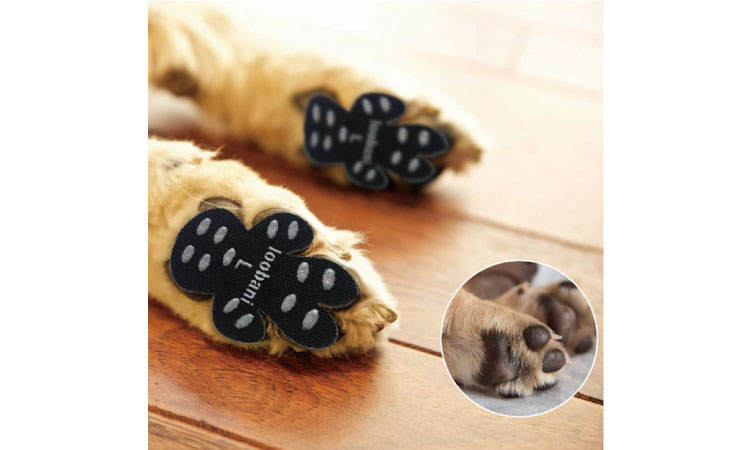 サンプル Loobani 犬用パッド 0円 モッピーアンドナナは大切なパートナーに良質なフード グッズ サービスを提供する