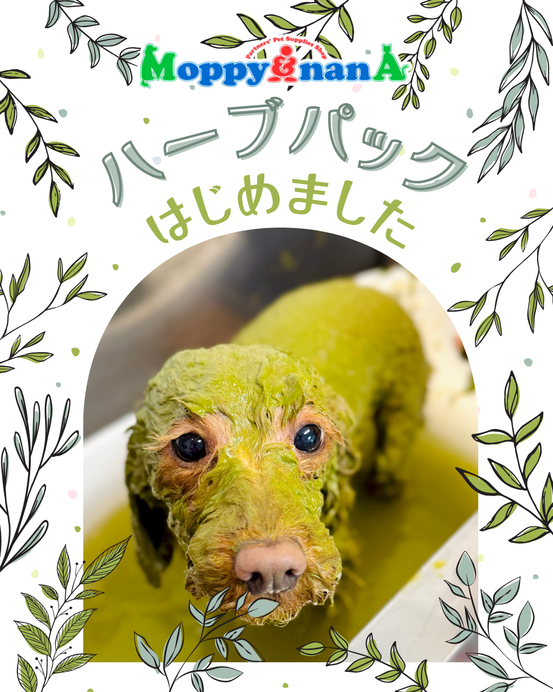 ハーブパック導入しました！